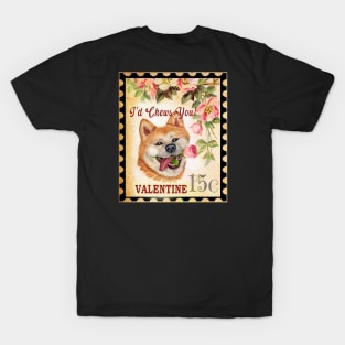 Akita inu Vintage Valentine Funny Dog With Rose T-Shirt